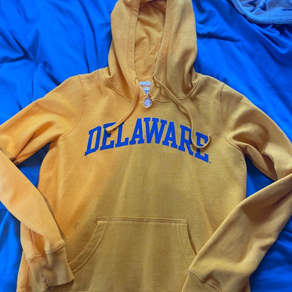 University of Delaware hoodie